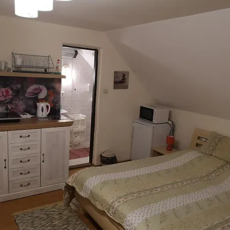 民宿 奥蒂利娅住宿酒店 斯祖贝莱克